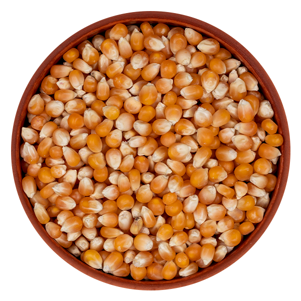 Namaste Export